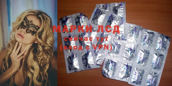 спайс Беломорск