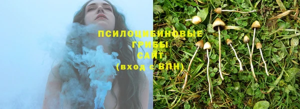 спайс Беломорск