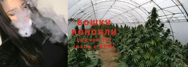 спайс Беломорск