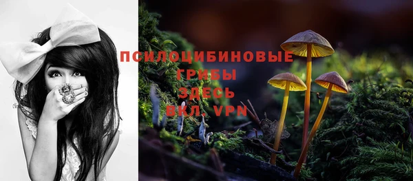 кокаин Богданович