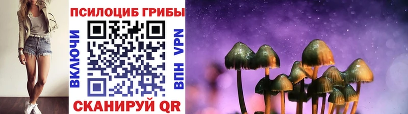 купить   Плёс  Псилоцибиновые грибы MAGIC MUSHROOMS 